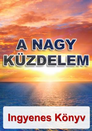 A nagy küzdelem